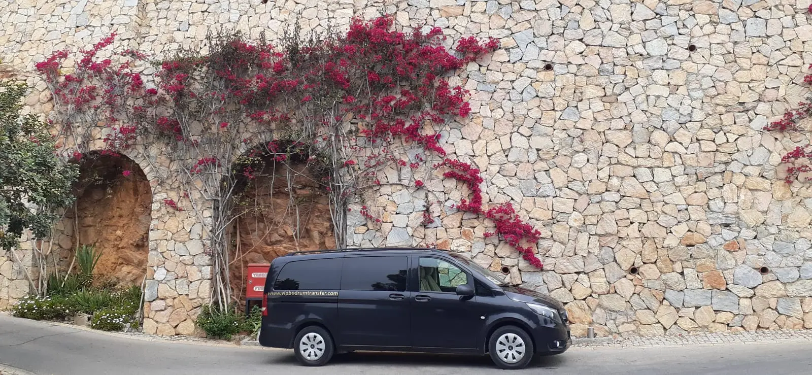 Vip Transfer